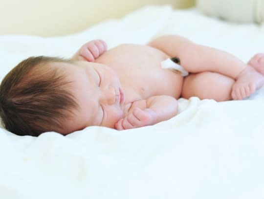 Le cordon ombilical 1